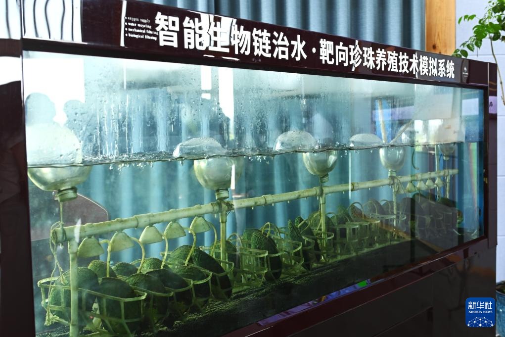 Shanxiahu pearl intelligent farming system