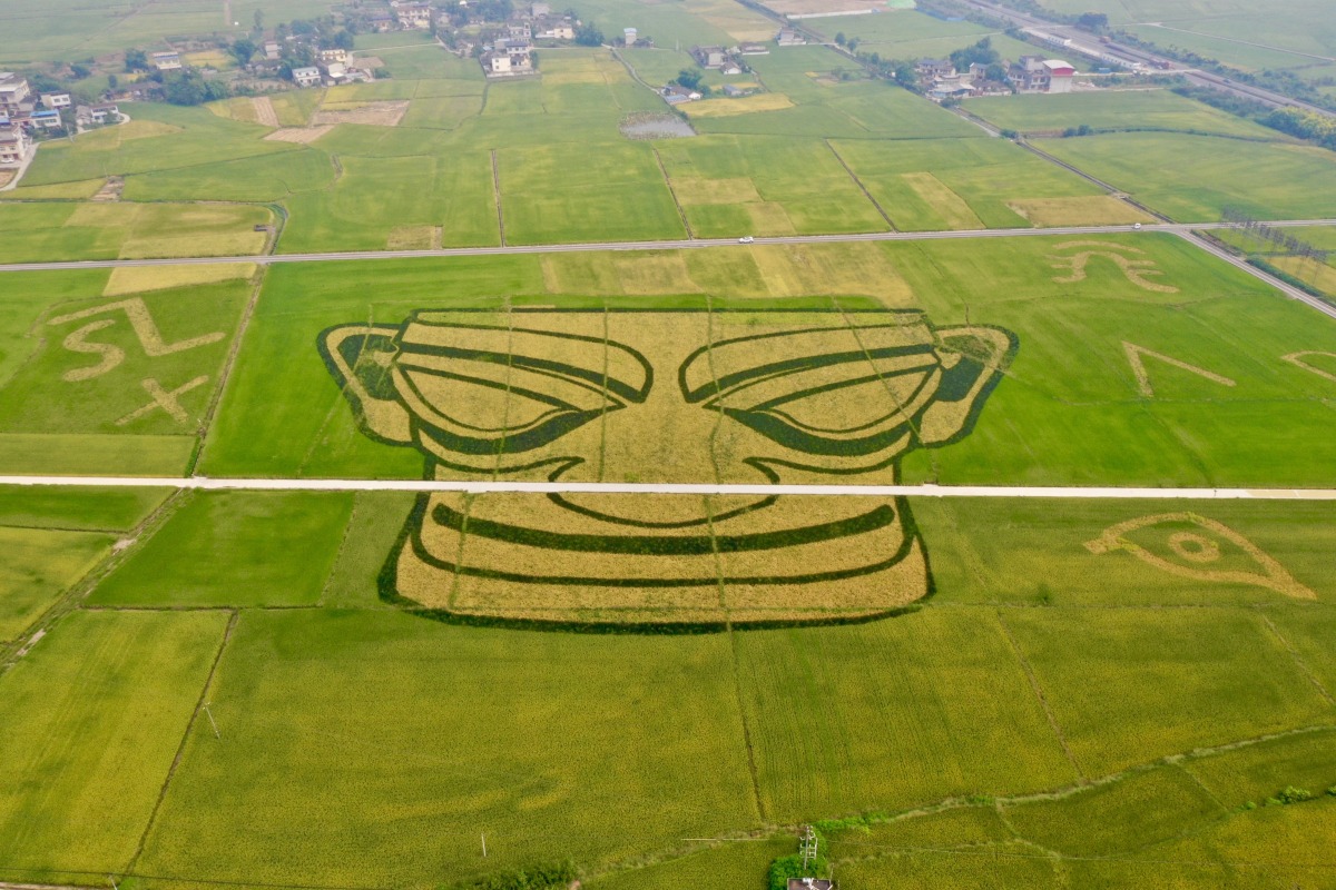 四川廣漢市為中國火鍋食材之都。廣漢的火鍋牛油，佔據全國市場三成份額，川渝地區六成以上鮮毛肚都是「廣漢製造」。