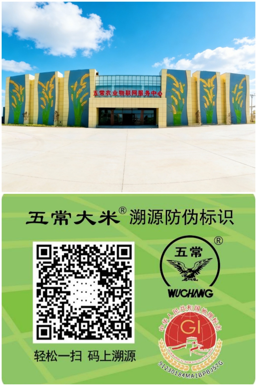 五常大米防僞系統