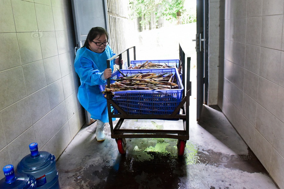 新興行業-大熊貓飼養員02