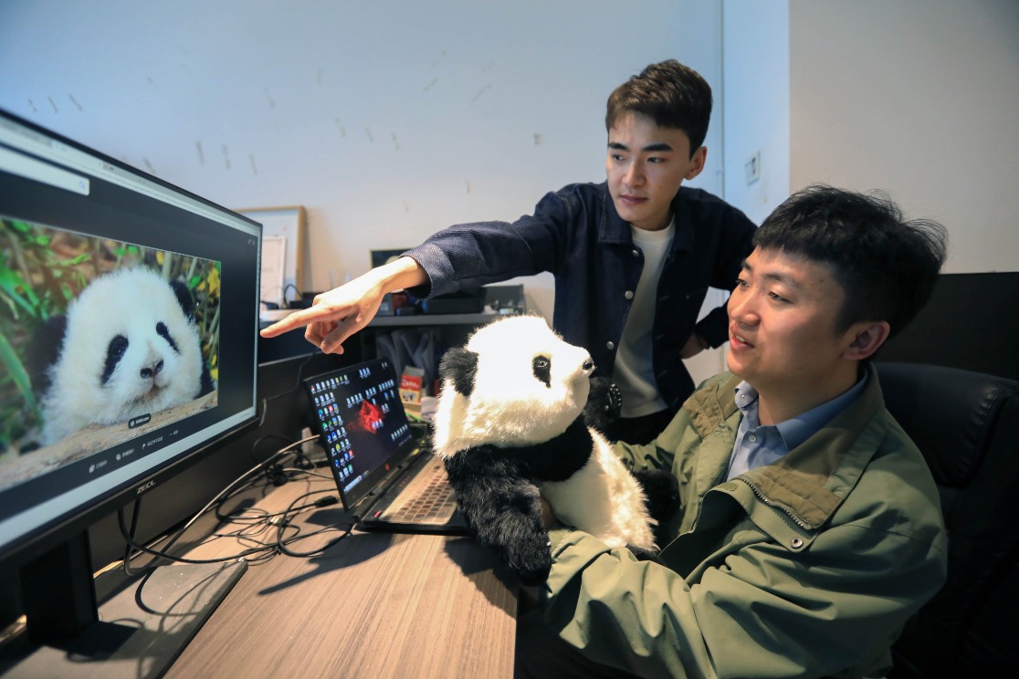 Simulation Giant Panda 03