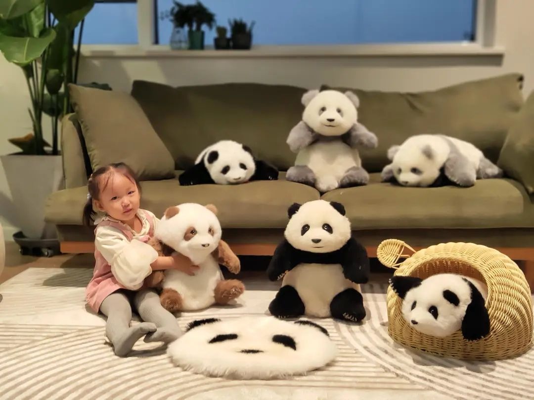 Simulation Giant Panda 05