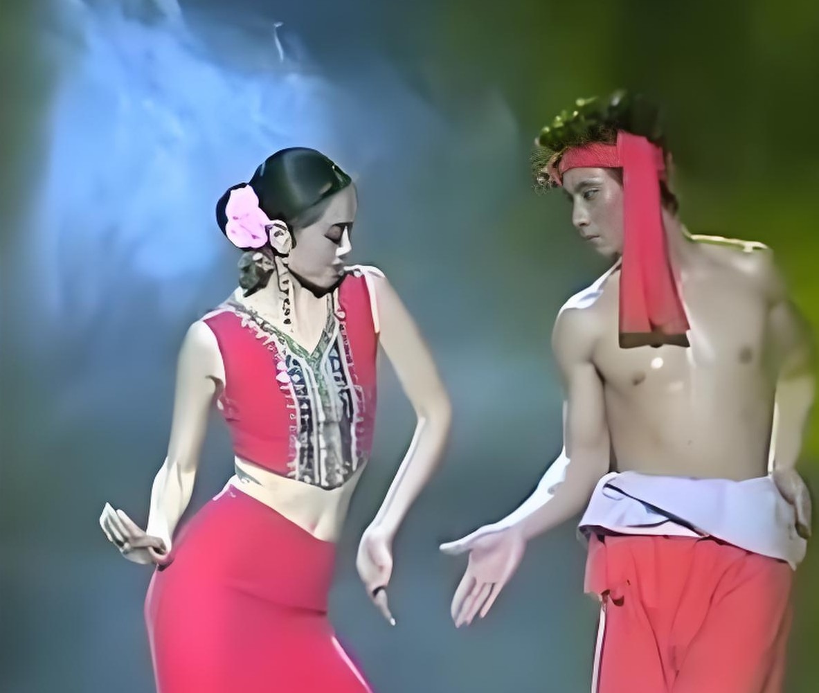 楊麗萍與陸亞合作雙人舞《兩棵樹》 1993年,楊麗萍與陸亞合作雙人舞《兩棵樹》登上春晚舞台。