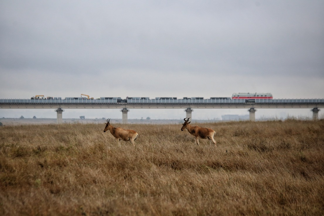 蒙內鐵路-野生動物通道-自然保護區-肯尼亞