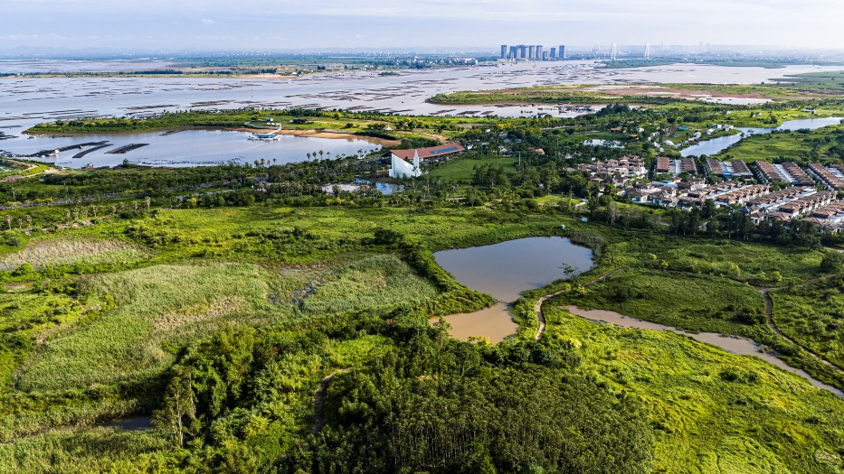 廣西欽州茅尾海海域航拍圖，前景為濕地、池塘與綠地，遠處可見平陸運河入海口水域、沿岸建築及欽州城市天際線。