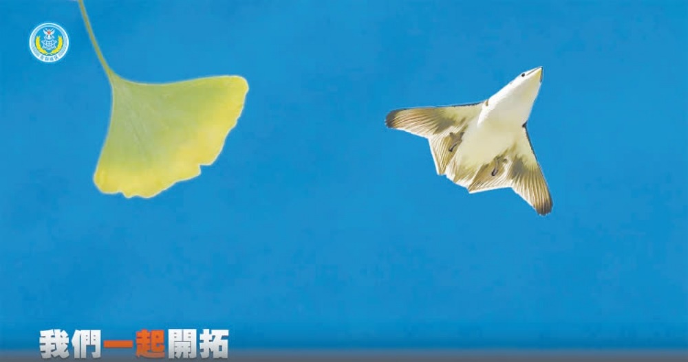 軍方微信發放的MV出現銀杏葉和褐雨燕,軍迷認為說的就是在成都和瀋陽出現的疑似六代機。(網上圖片) 軍方微信發放的MV出現銀杏葉和褐雨燕,軍迷認為說的就是在成都和瀋陽出現的疑似六代機。(網上圖片)