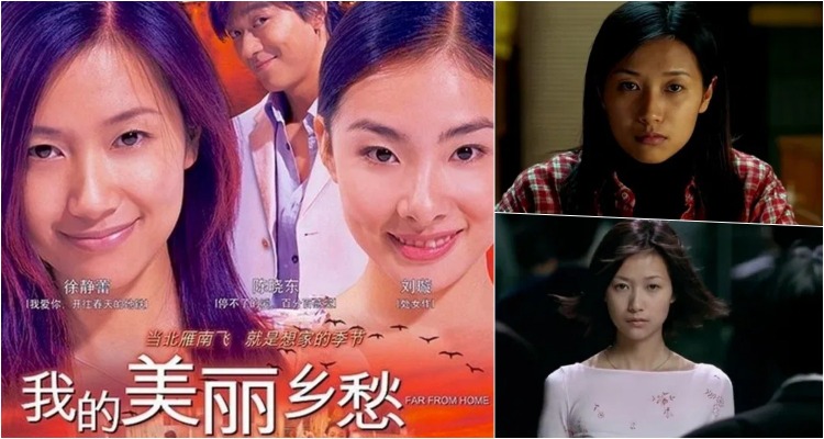 徐靜蕾獲得多個演技獎項