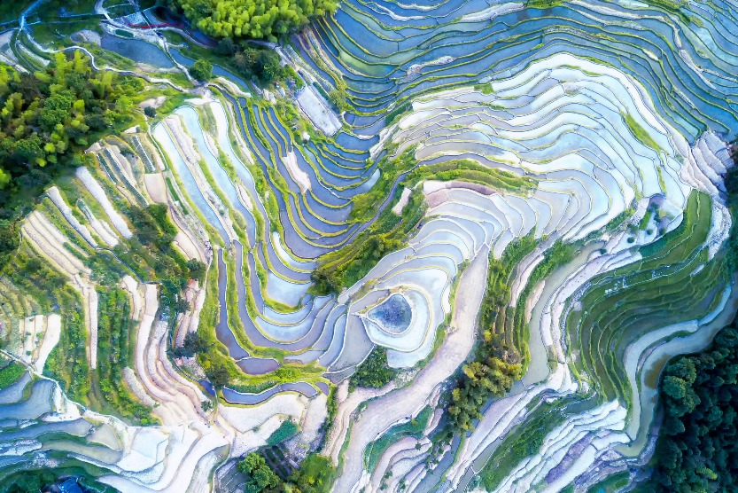 當代中國-世界灌溉遺產-都江堰