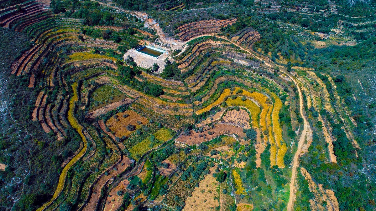 重要農業文化遺產-河北梯田