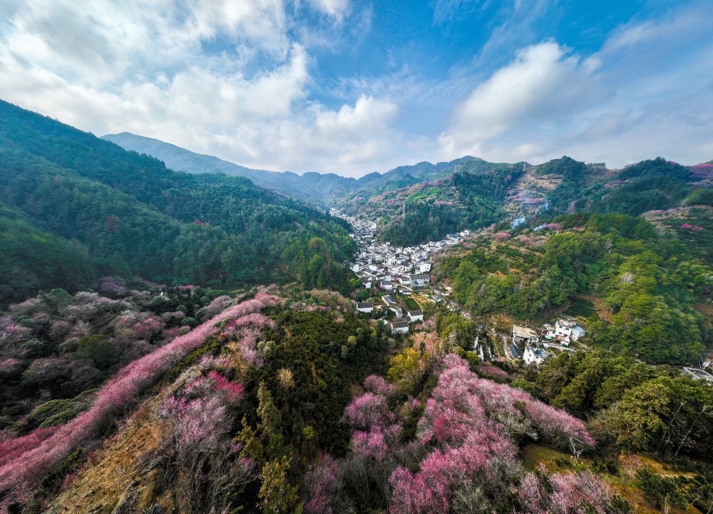 卖花渔村全景