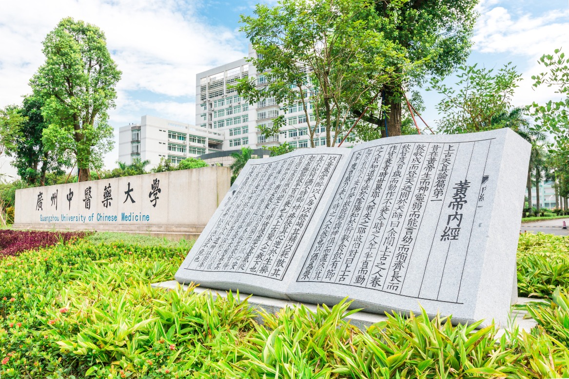 香港中醫藥管理委員會轄下中醫組，認可內地31間院校開辦的中醫學位課程，畢業生在內地畢業後再通過香港執業試，便可以成為香港註冊中醫師了。廣州中醫藥大學是其中一間。