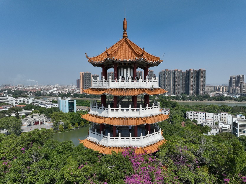 Shenzhen-Zhongshan Link free bus service in July Shenzhen-Zhongshan Link free bus service in July