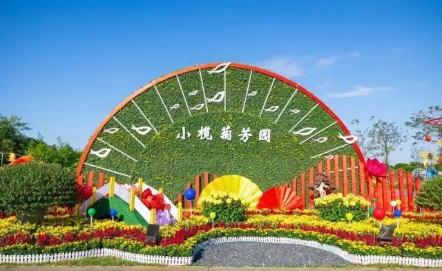 中山小欖菊花會位於中山小欖菊花園 中山小欖菊花會位於中山小欖菊花園