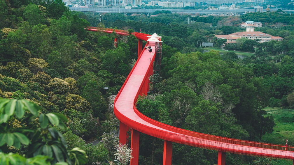 深圳光明虹橋公園紅色大橋全貌
