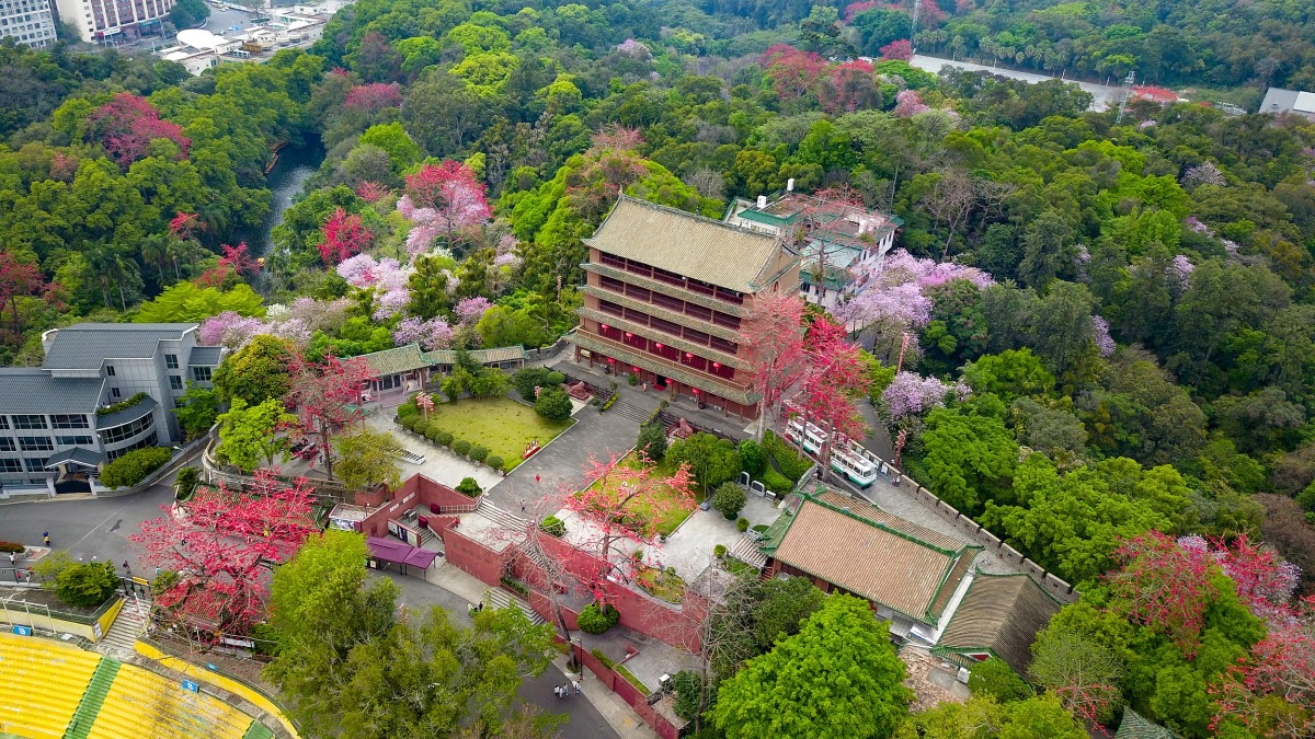 廣州越秀公園奪得世界城市公園協會2026年「大型城市公園」獎
