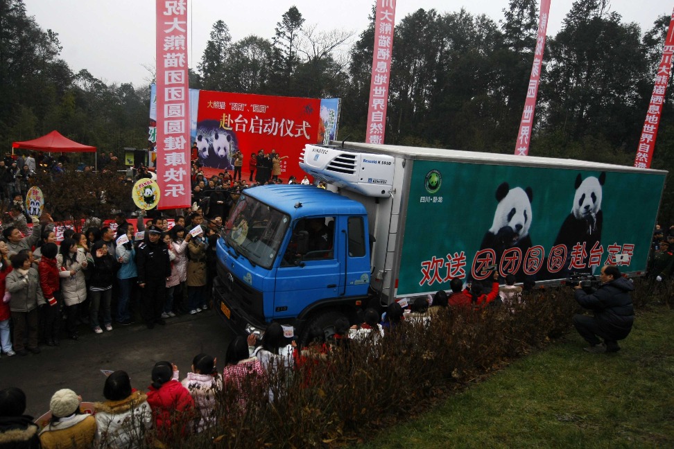 2008年，四歲的大熊貓團團、圓圓離開四川，遷到台北居住。（圖片來源：Getty）