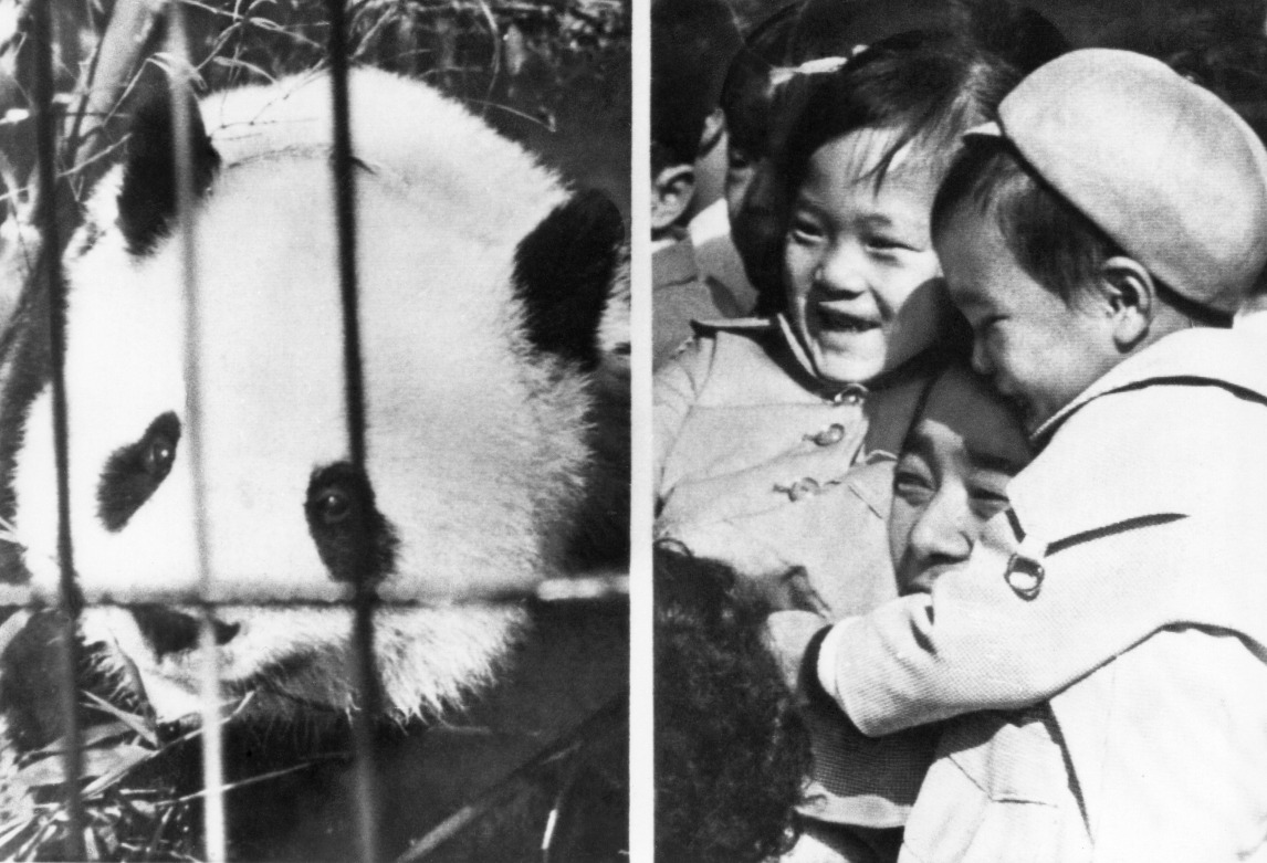 1972年9月，中國向復恢邦交的日本送贈兩隻名為「蘭蘭」和「康康」的大熊貓，當年日本報章更以「等了一整夜，見面一分鐘」，形容民眾參觀的盛況。圖片攝於1972年東京上野動物園。（圖片來源：AP）