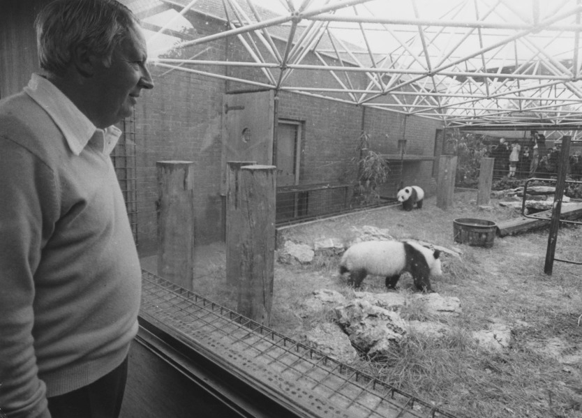 1974年，英國前首相愛德華‧希思（Edward Heath）在倫敦動物園探望來自中國的大熊貓「佳佳」和「晶晶」。（圖片來源：Getty）