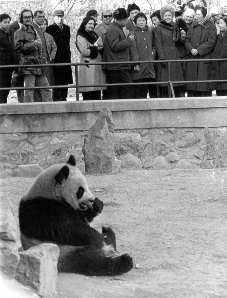 尼克遜訪問團抵達中國第二日，便到北京動物園看大熊貓，訪問團甚至為熊貓修改了到訪長城的時間。圖右五為尼克遜夫人Pat Nixon。（圖片來源：AP）