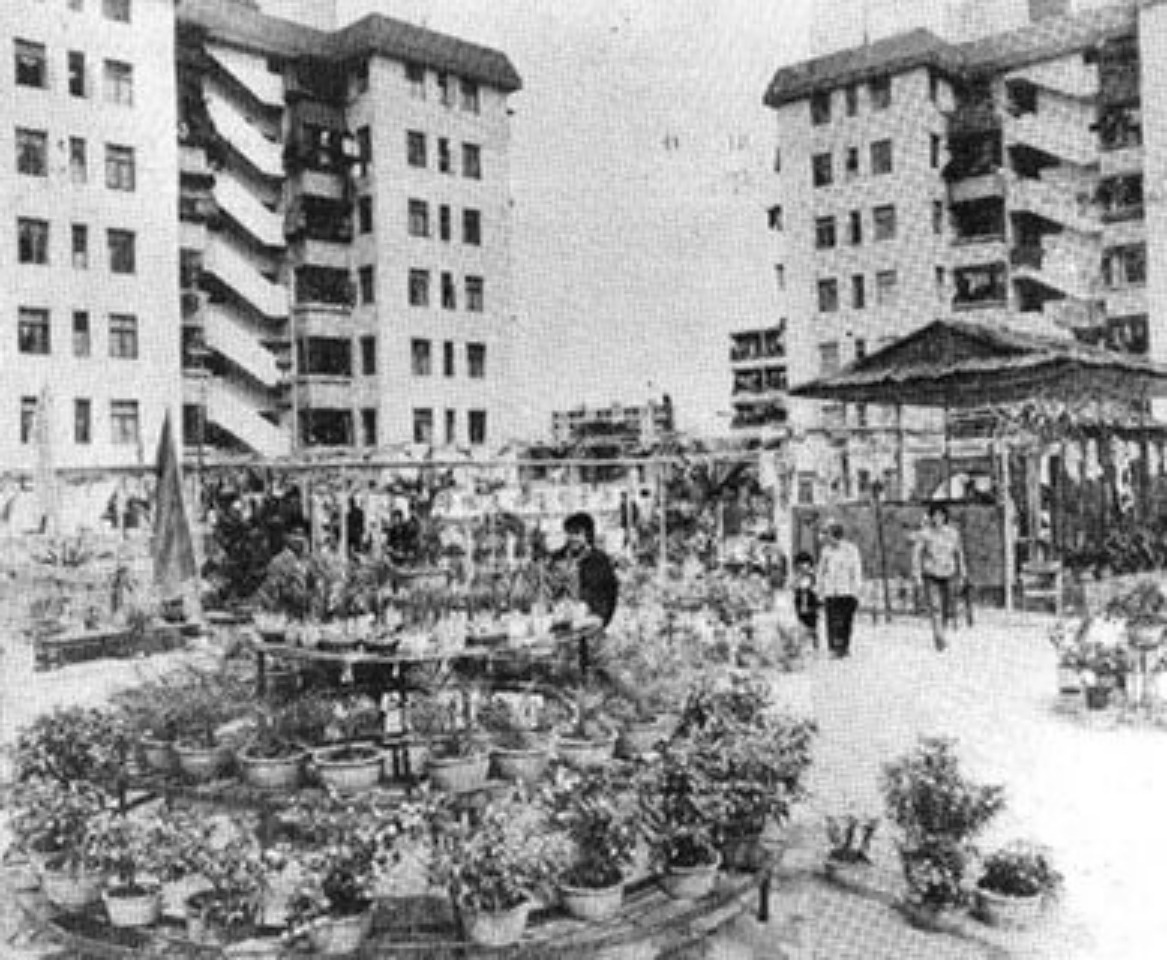東湖新村 東湖新村