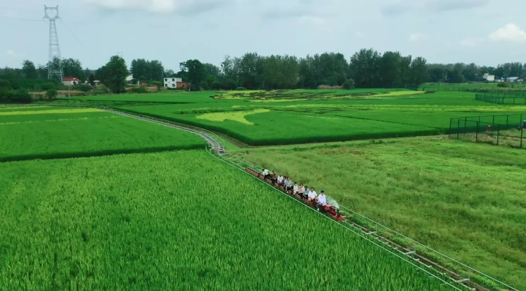 沒公車沒大橋，雖原始又有高科技，廣州大吉沙島上有一個「雜交水稻之父」袁隆平的「禾下夢」隆平稻香園，以智能化管理種植稻米。