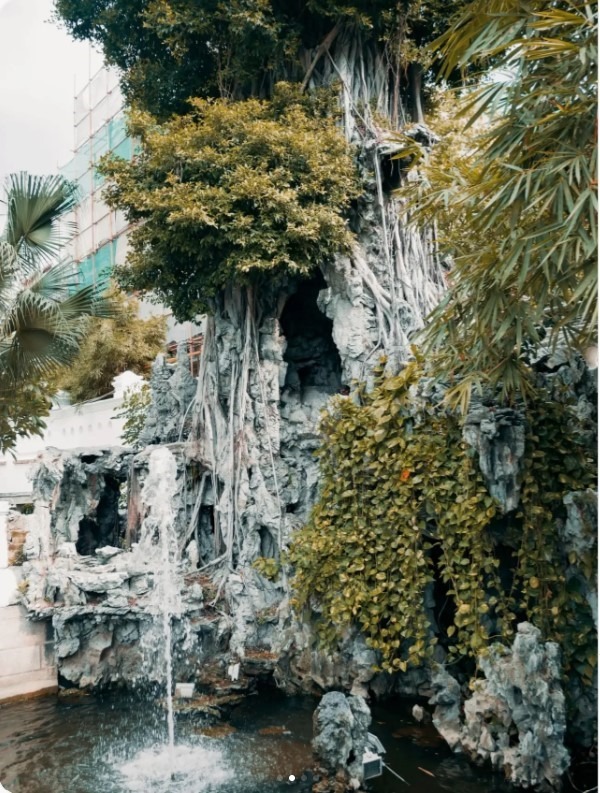 荔灣博物館網紅盆景-「石上飛榕」