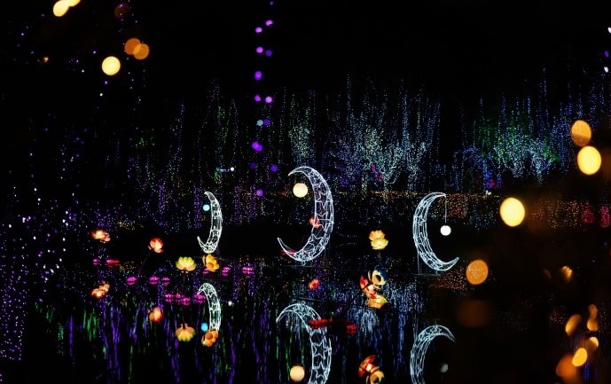  深圳不少地方都有大型的春節燈會，甘坑古鎮小涼帽燈籠節，遇觀燈於古鎮玩樂之中，適合一家大小春節渡假。
