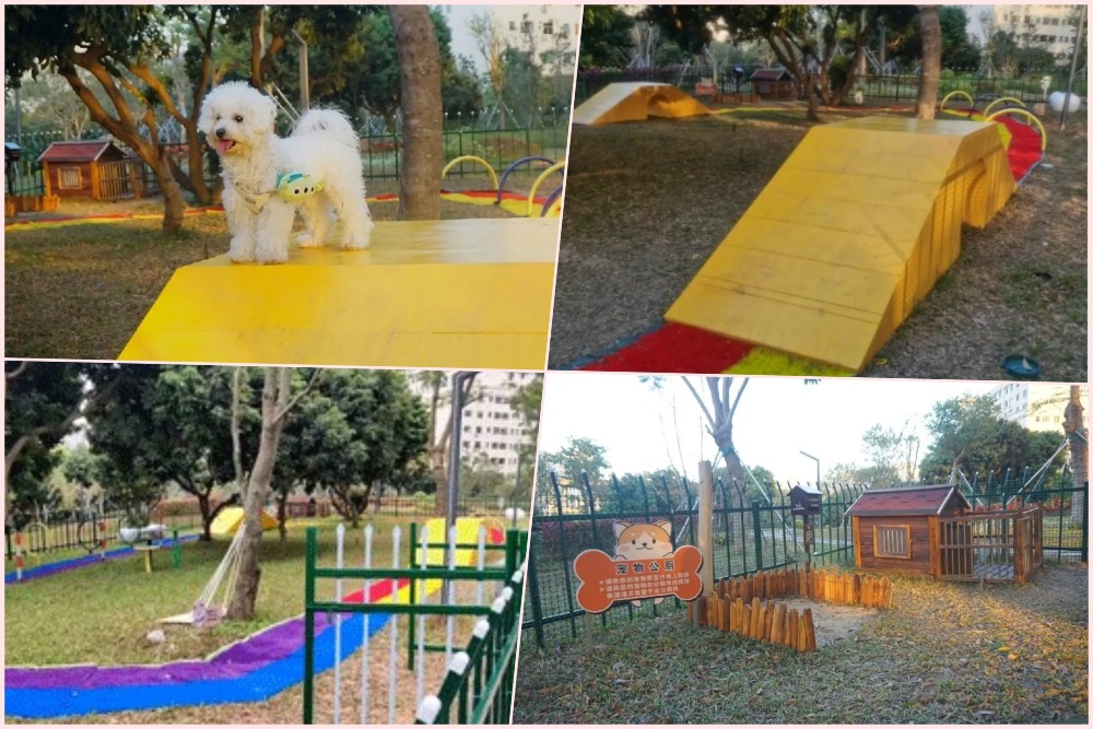 深圳光明區寵物公園 深圳光明區寵物公園