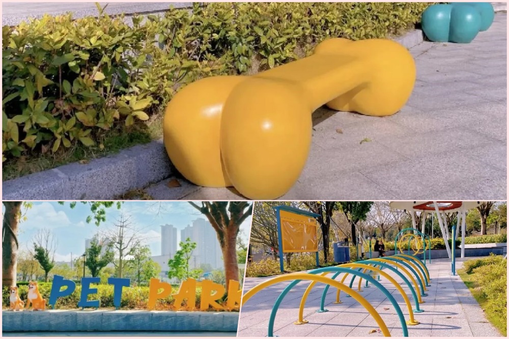 深圳大鵬新區寵物公園 深圳大鵬新區寵物公園