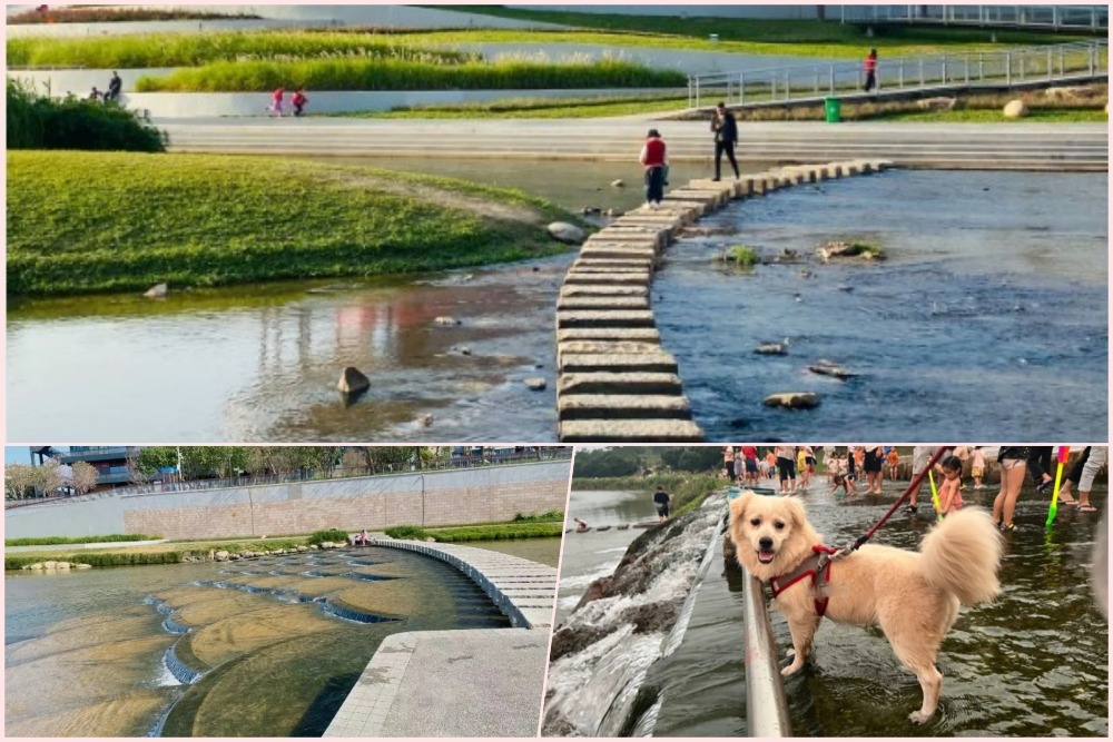 深圳龍崗河幹流寵物樂園