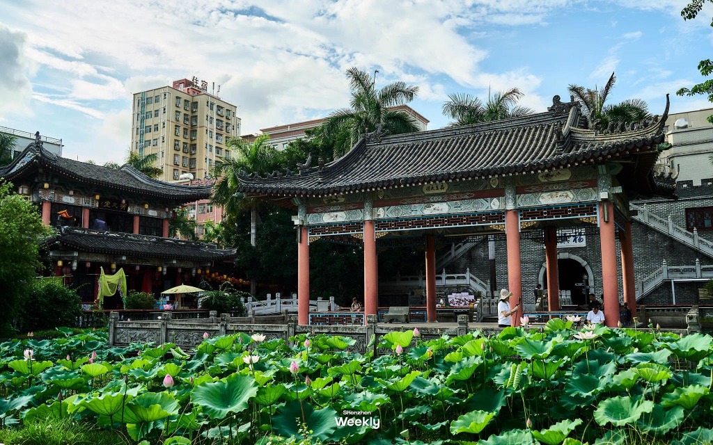 萬景樓 深圳3大免費賞荷地圖