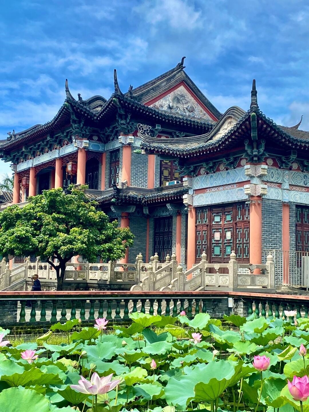 深圳3大免費賞荷地圖