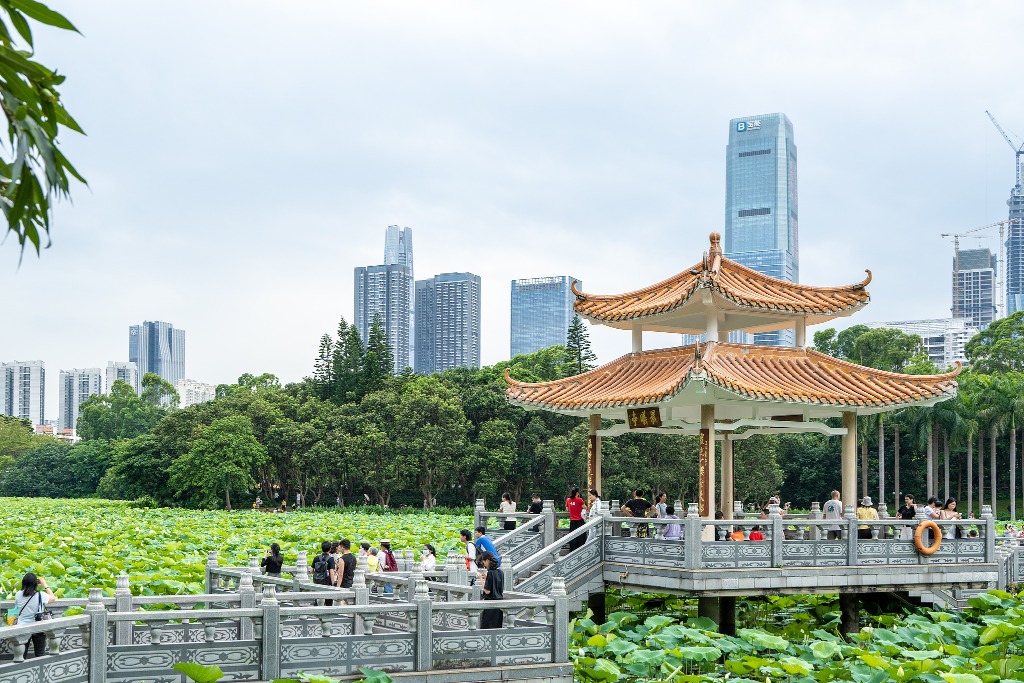 深圳3大免費賞荷地圖
