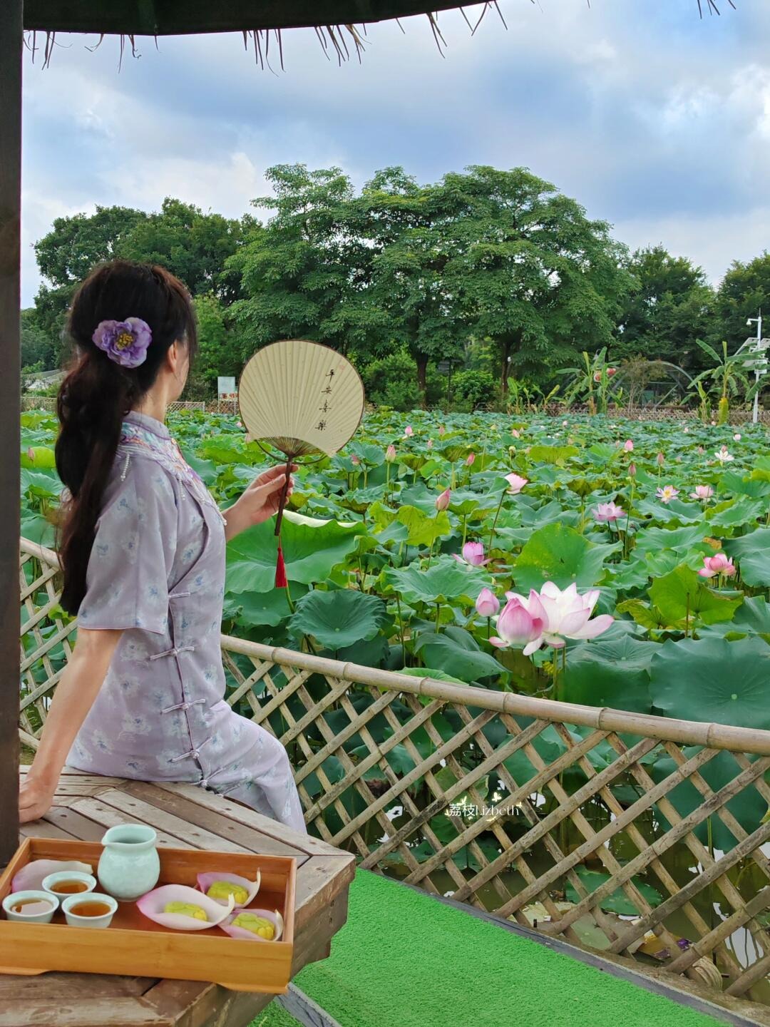 深圳3大免費賞荷地圖