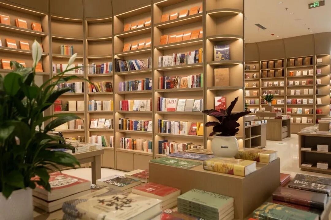 湾区之眼 湾区之眼