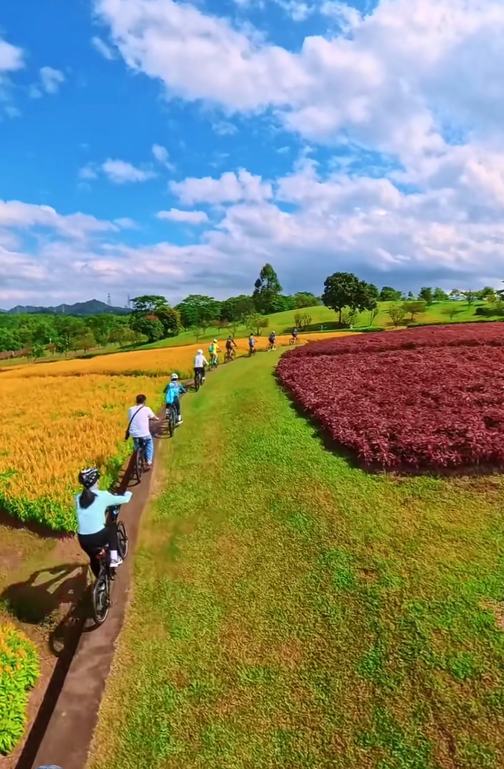 深圳新手騎行路線-環石岩湖綠道 深圳新手騎行路線