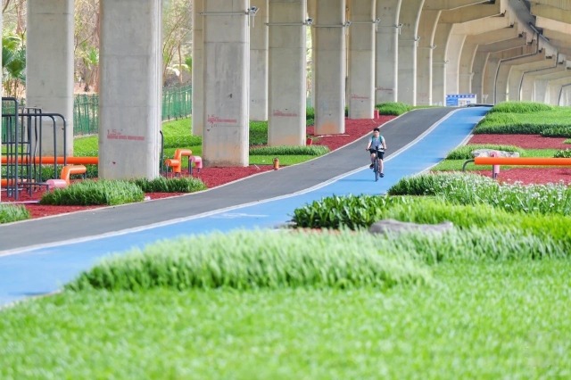 深圳新手騎行路線-山海連城前海灣段 深圳新手騎行路線