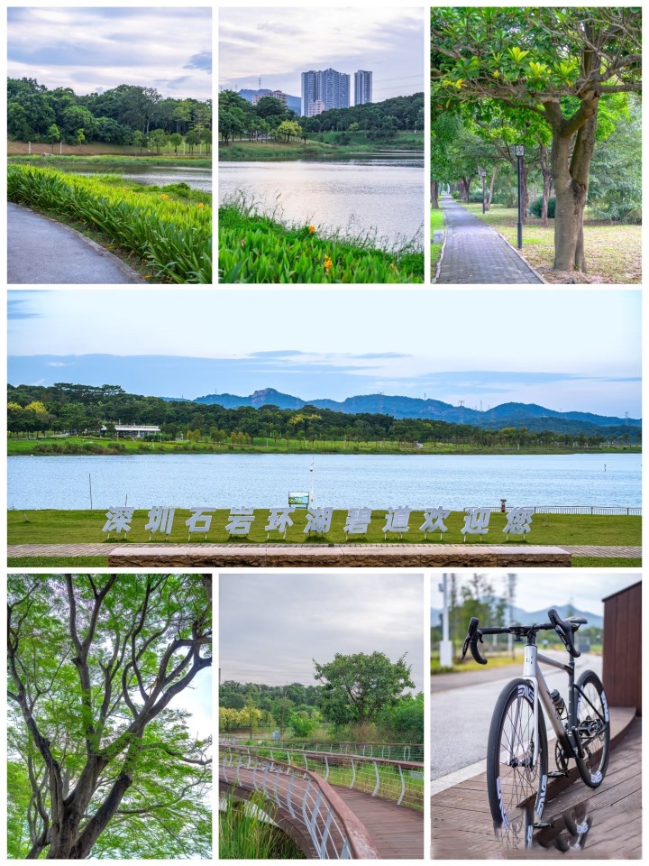 深圳新手騎行路線-環石岩湖綠道 深圳新手騎行路線