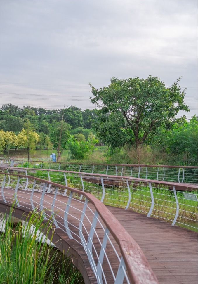 深圳新手騎行路線-環石岩湖綠道 深圳新手騎行路線