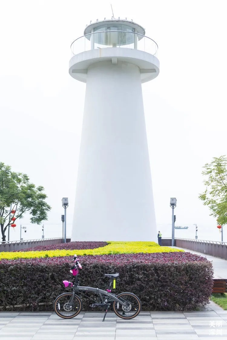 深圳新手騎行路線-深圳灣公園-深圳K11段 深圳新手騎行路線