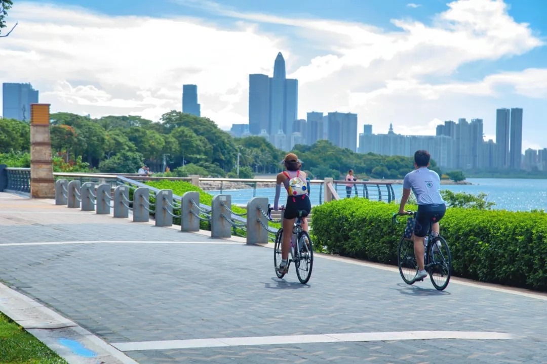 深圳新手騎行路線-深圳灣公園-深圳K11段 深圳新手騎行路線