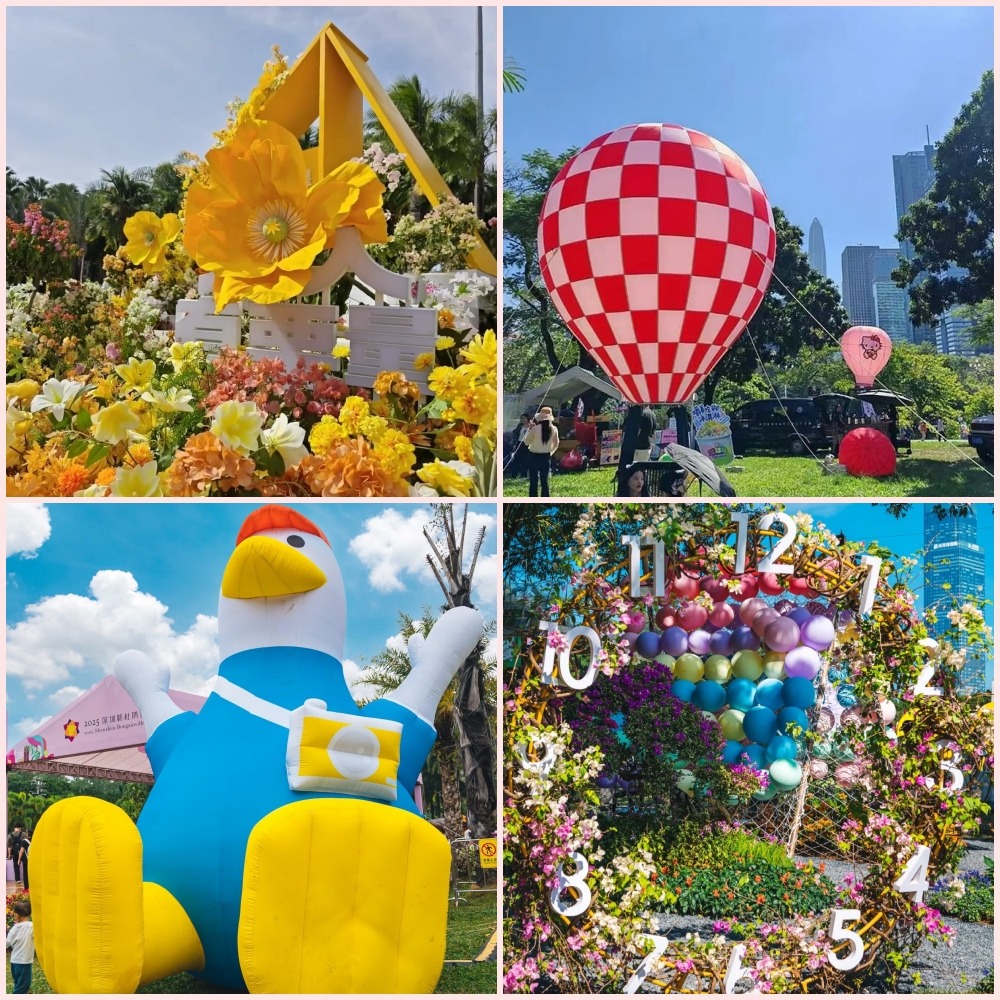 2025深圳簕杜鹃赏花周-莲花山公园 2025深圳簕杜鹃赏花周