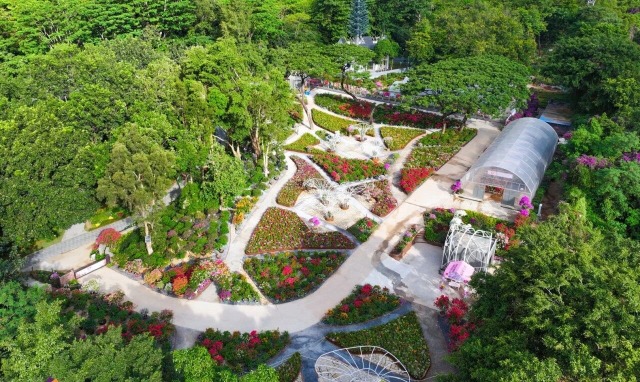 2025深圳簕杜鹃赏花周-莲花山公园 2025深圳簕杜鹃赏花周