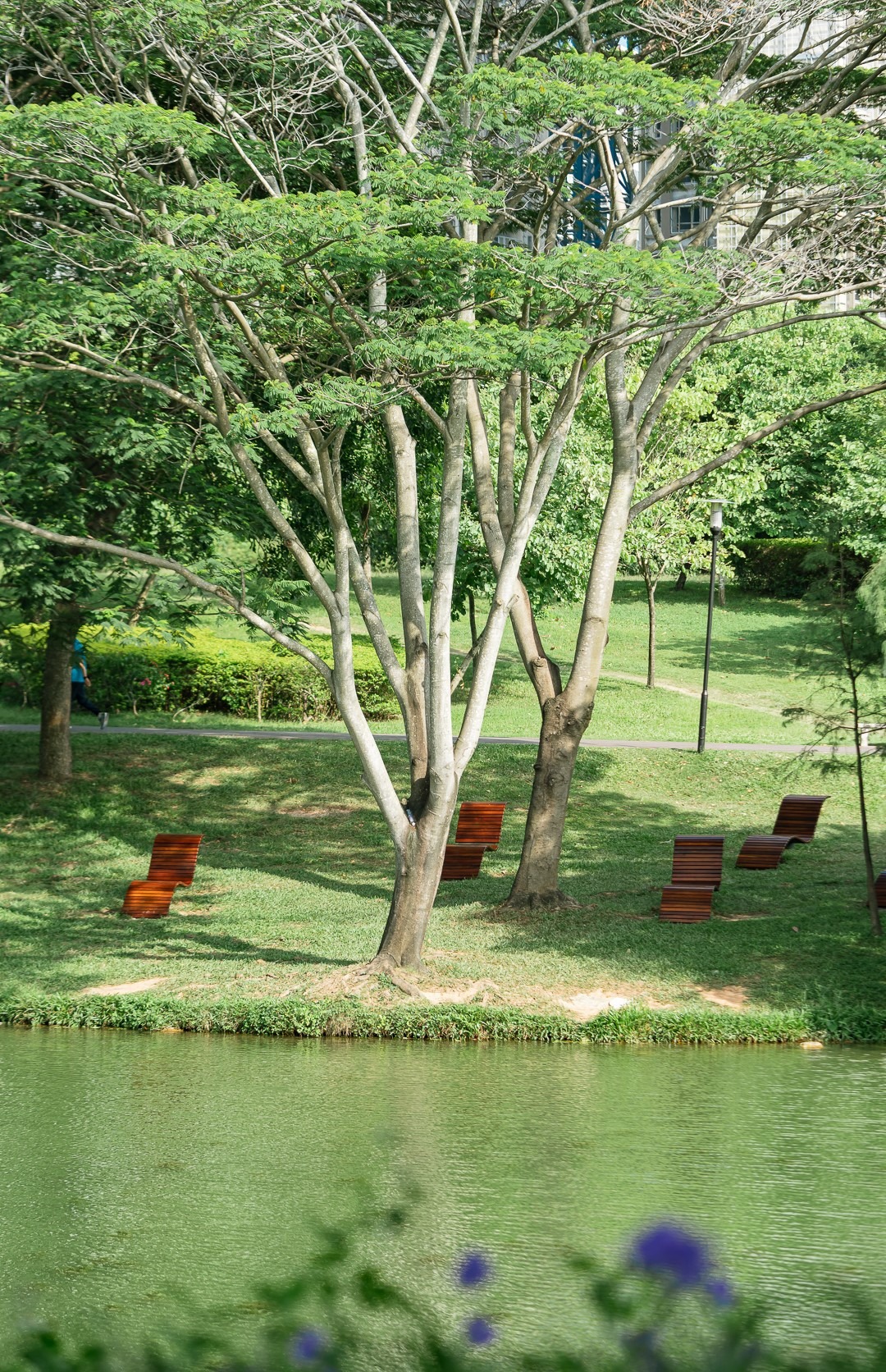 五园连通-中心公园 深圳“五园连通”行山径全长17公里,连接5大公园,是深圳“山海连城”计划第一批完成的公园群项目。