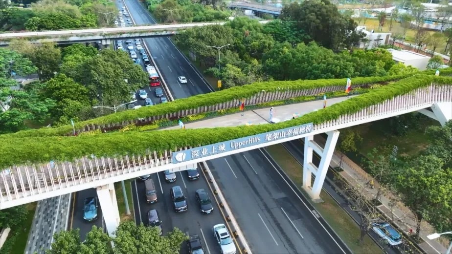 五园连通-莲花山公园 深圳“五园连通”行山径全长17公里,连接5大公园,是深圳“山海连城”计划第一批完成的公园群项目。