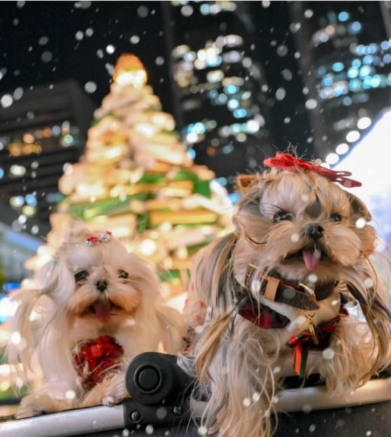 深圳飘雪地图-万象天地
