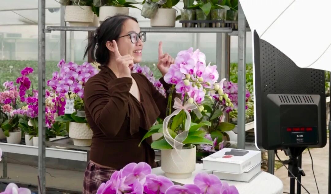 佛山里水蝴蝶蘭