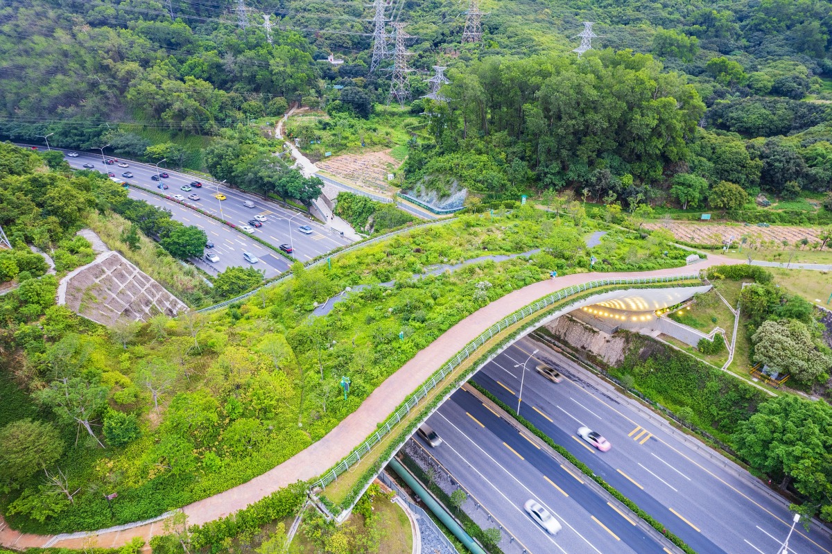 Shenzhen Kunpeng Trail Bridge No. 1