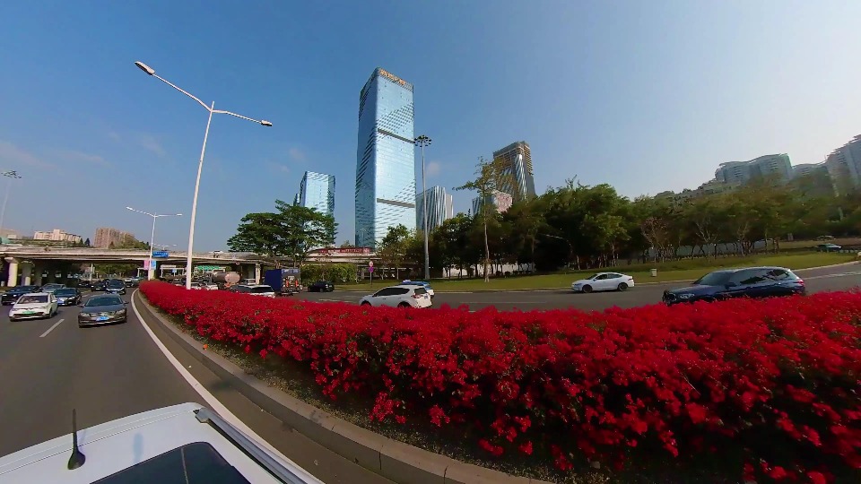 深圳街景 2026深圳春季花海