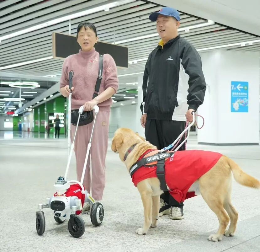 深圳地鐵推出智能導盲犬服務，為全國首次。